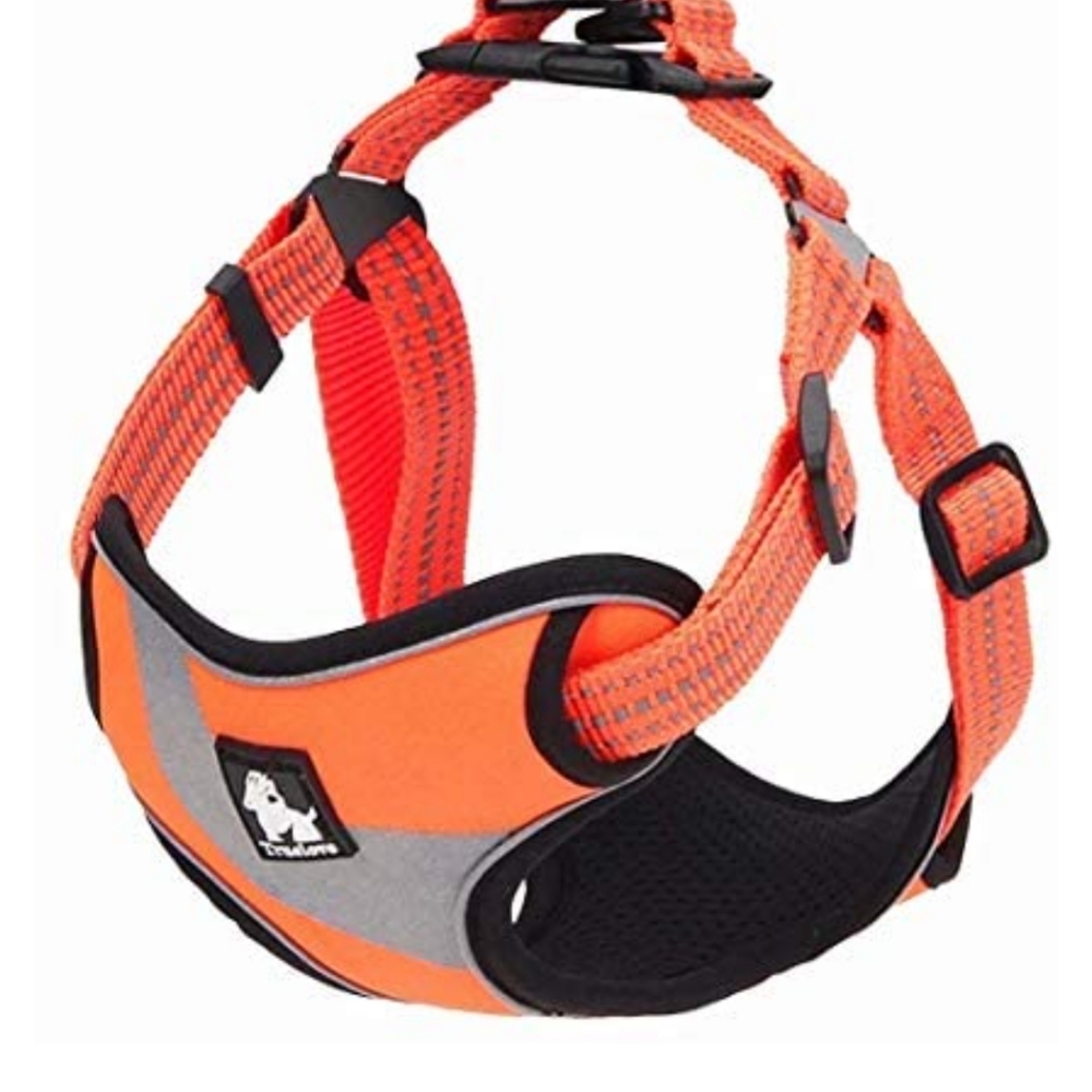 TrueLove Anti Pull Safety Step In Reflective Harness